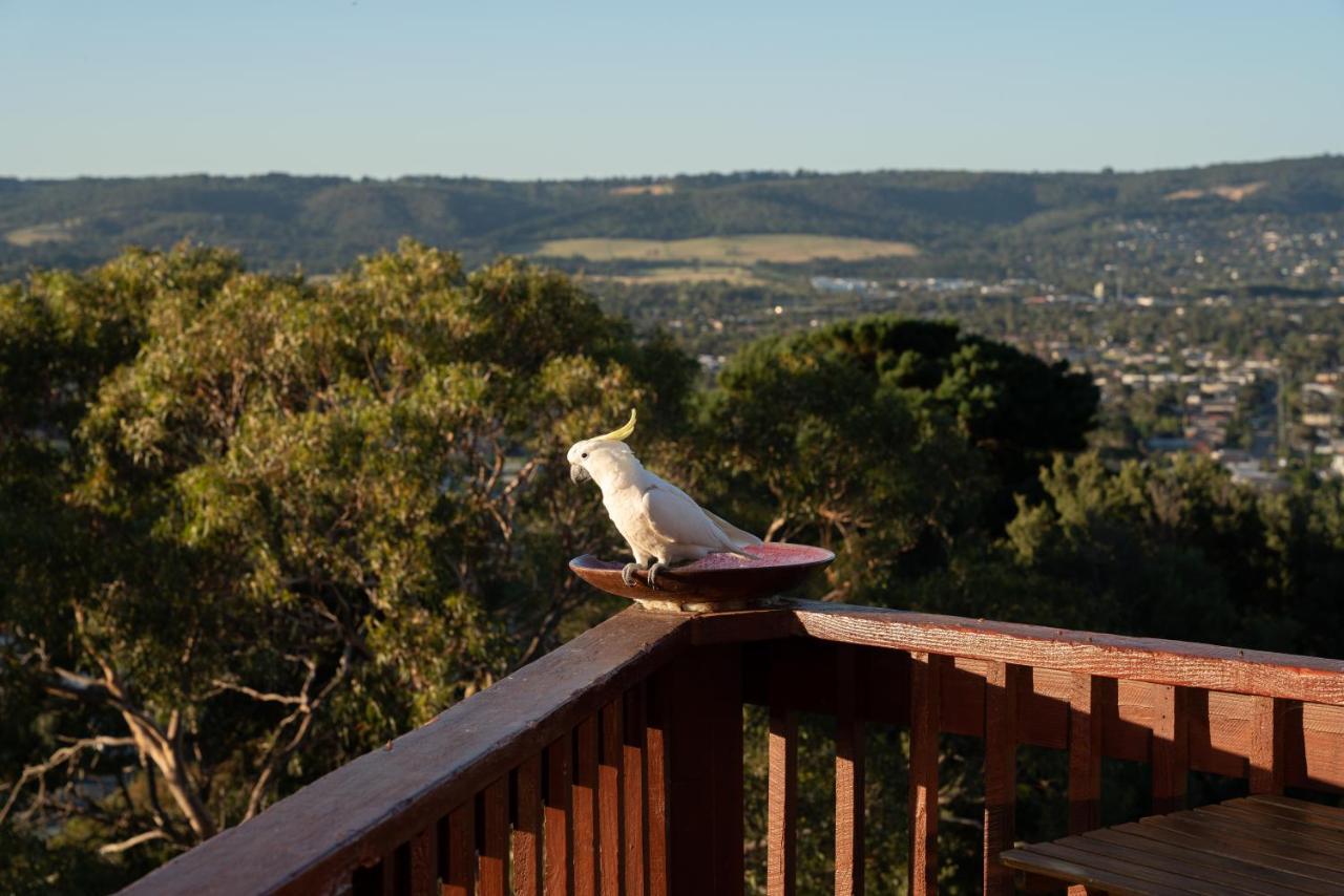 Kinoie Mornington - Oceanview Villa Mount Martha Exterior photo